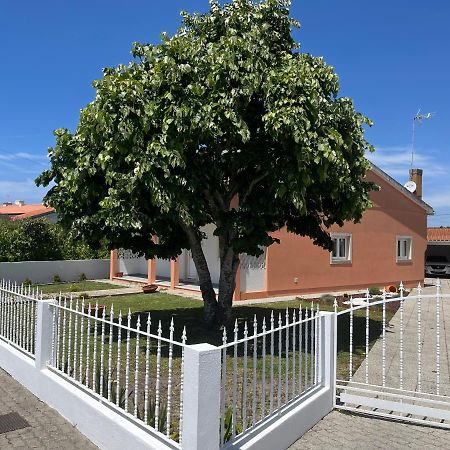 Moradia Alegre No Centro Da Vila Da Tocha. Eksteriør billede