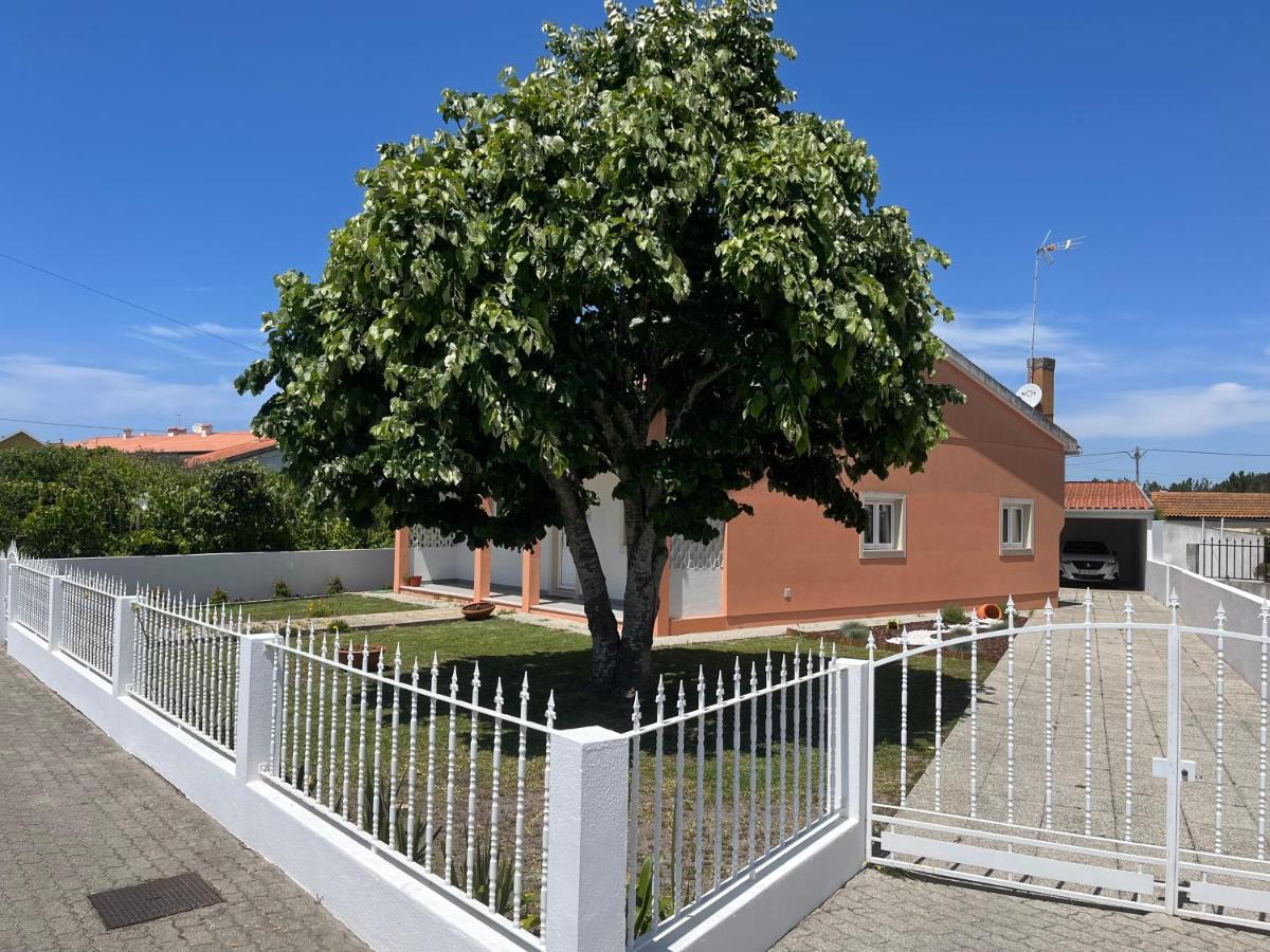 Moradia Alegre No Centro Da Vila Da Tocha. Eksteriør billede